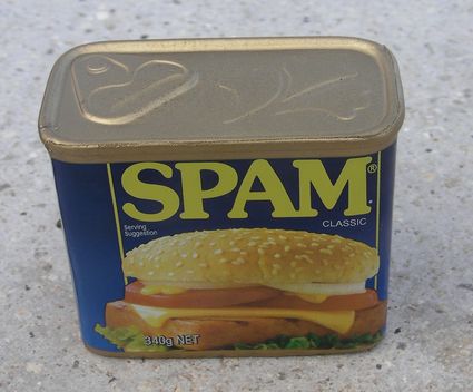 355spam.jpg