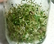 2011-10-08 20:12:56