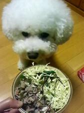 2011-06-11 20:13:15