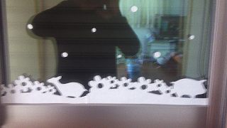 霜取りシート２