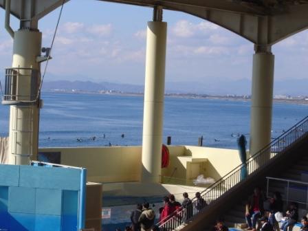新江ノ島水族館