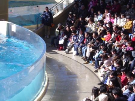 新江ノ島水族館