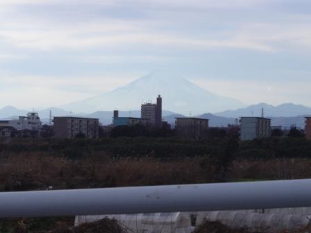寒川神社から見た富士山