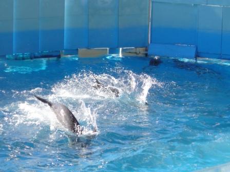 新江ノ島水族館