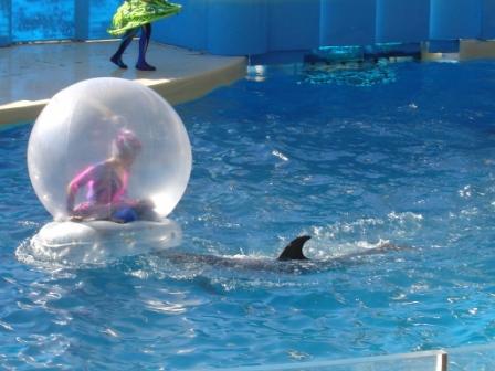 新江ノ島水族館