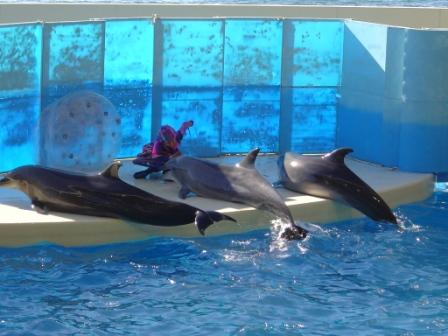 新江ノ島水族館