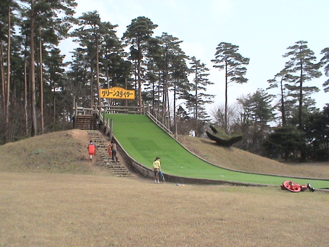 DSC00554.JPG