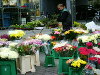 DSCF2561.jpg
