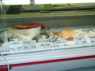 DSCF2562.jpg