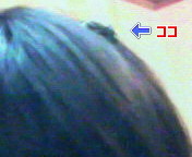 200707081943000.jpg
