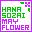 花素材mayflower