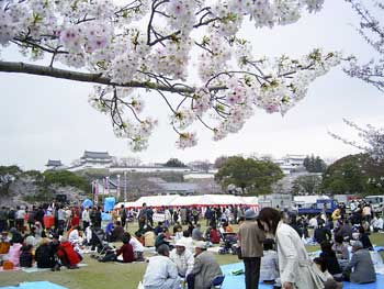 姫路城三の丸広場から西の丸を望む