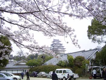 姫路城牡丹園下から天守閣を望む