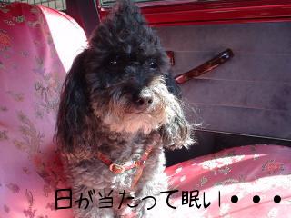 DSC02196.JPG