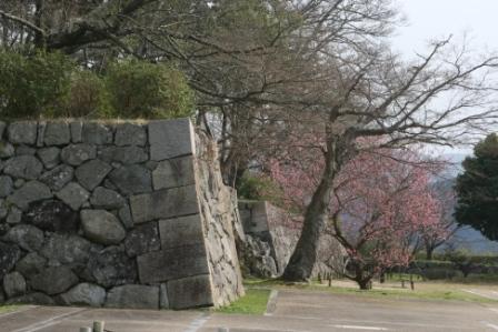 篠山城１