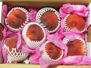 柳雅　漣さんモモ