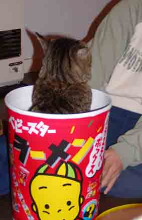 ベビースターのらえもん