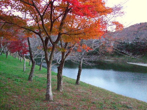 桜渕公園
