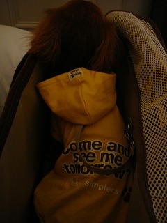 Lani動物検疫を受ける