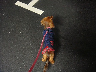 散歩in恵比寿ガーデンプレイス