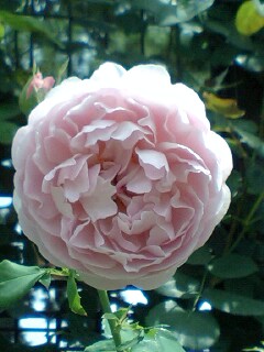 2010-06-07 10:03:35