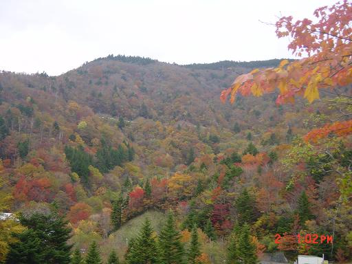 剣山紅葉2.