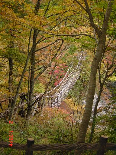 奥祖谷かずら橋