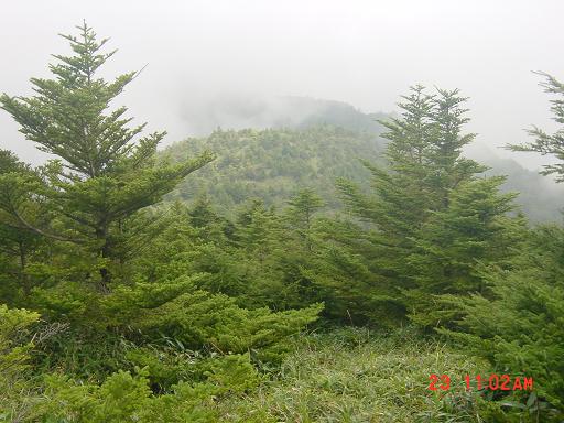 丸笹山から赤帽子山へ