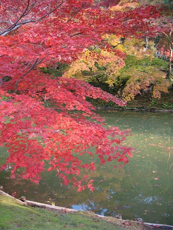 京都高台寺