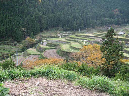 樫原棚田