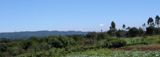 雲ひとつ