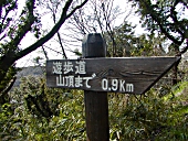 火の山遊歩道