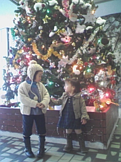 クリスマスツリー