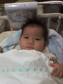 入りきらん・・・