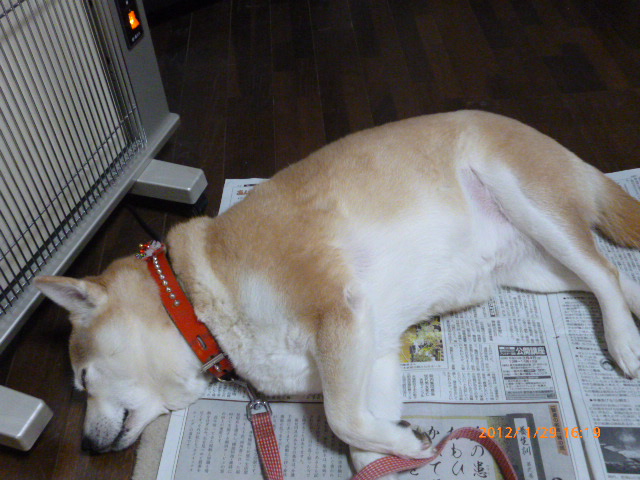 新しい追加分 23458.jpg