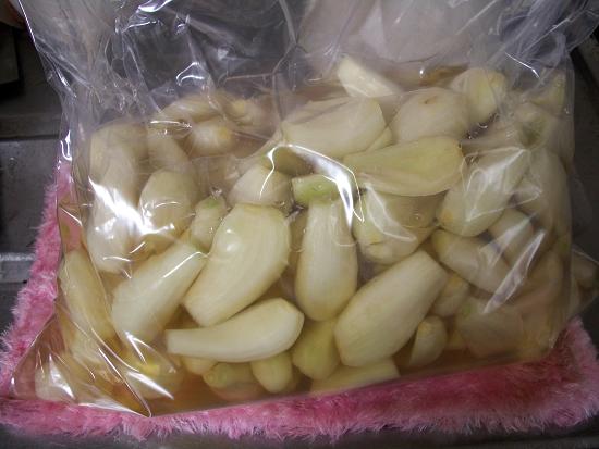 ラッキョウ甘酢漬け15%.JPG