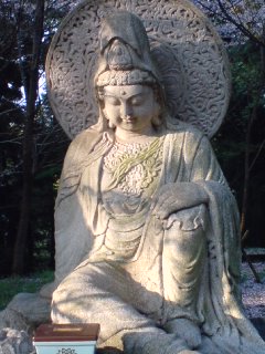 像.jpg
