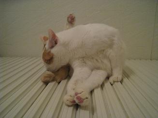 はなみとお風呂２