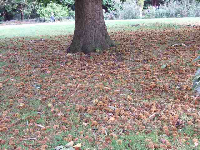 park10