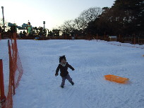 人工雪そり