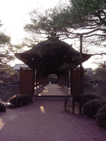 DSC00751.jpg