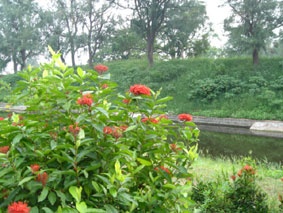 Taiwan27