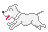 白犬