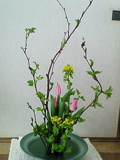 2008年2月生花