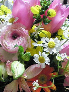 ３月のアレンジメントのアップ