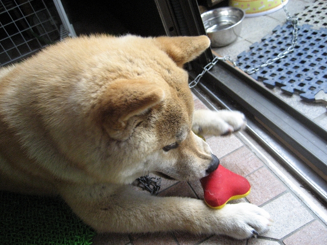 鼻にシワを寄せて