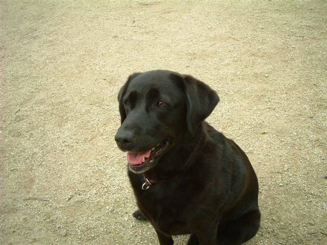DSCF0007.JPG