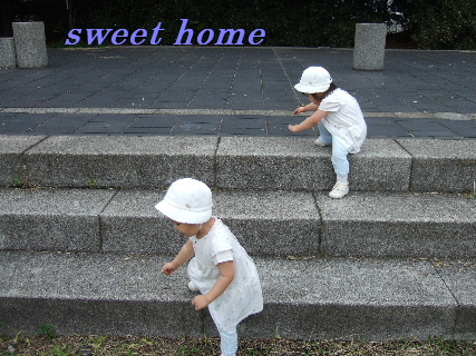 DSCF5348.JPG