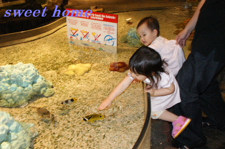 DSC03516.JPG