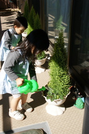 DSC08552.JPG